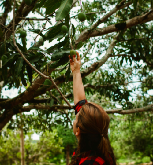 Untitled design (52)