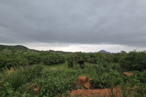 WhatsApp Image 2026-01-02 at 17.34.33